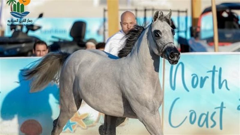 بطولة الساحل الشمالي