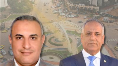 باستثمارات 14 مليون دولار.. أول مصنع أخشاب مصري في الكاميرون