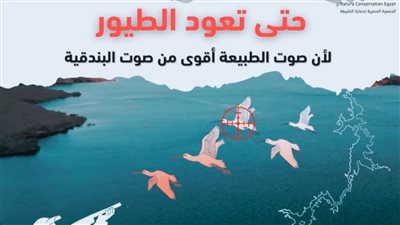 حتى تعود الطيور.. لا للصيد الجائر.. مبادرة بيئية تنطلق غدا من نقابة الصحفيين
