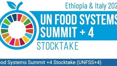 سلطنة عُمان تشارك في قمة الأمم المتحدة الثانية لتقييم النظم الغذائية