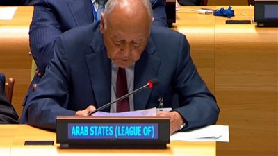 أبو الغيط يشارك في الجلسة الحوارية للمؤتمر الدولي لحل الدولتين