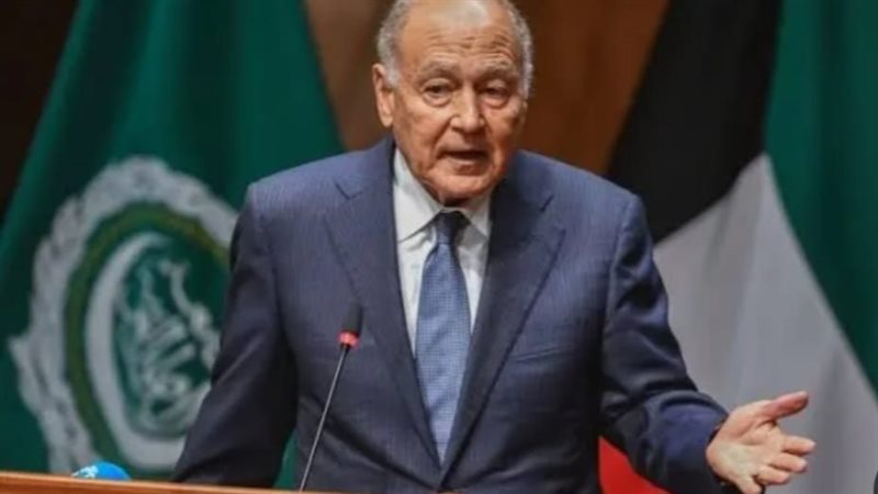 أبو الغيط