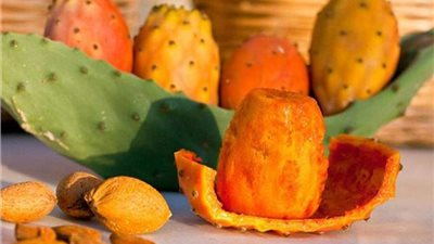 تفسير رؤية التين الشوكي في المنام للعزباء والمتزوجة والحامل 