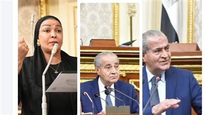 النائبة د. ألفت المزلاوي: خلافي مع الدكتور علي مصيلحي كان صريحًا.. واليوم أودّعه باحترام الموت