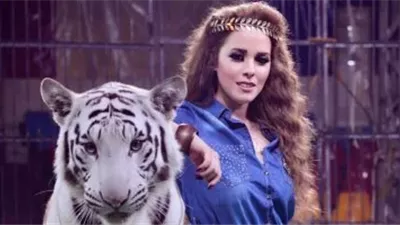 سرقة نمر أبيض نادر من سيرك المدربة أنوسة كوته