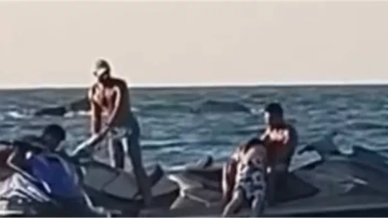 هير نيوز