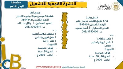 3701 فرصة عمل جديدة في 44 شركة خاصة تنتظر شباب 11 محافظة