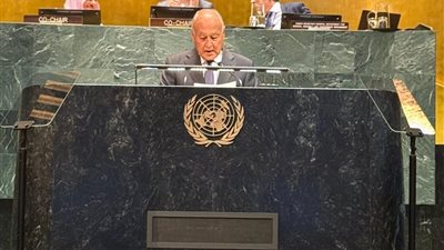 أحمد أبو الغيط : نحمل على عاتقنا مهمة جسيمة  لتنفيذ حل الدولتين