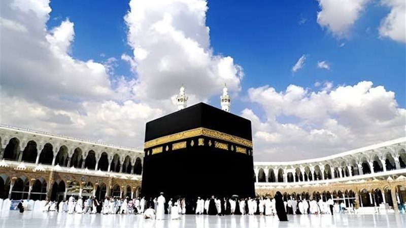 هير نيوز
