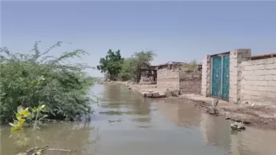 بعد تحذيرات الفيضان.. ماذا تفعل إذا غرق منزلك بمياه النيل؟