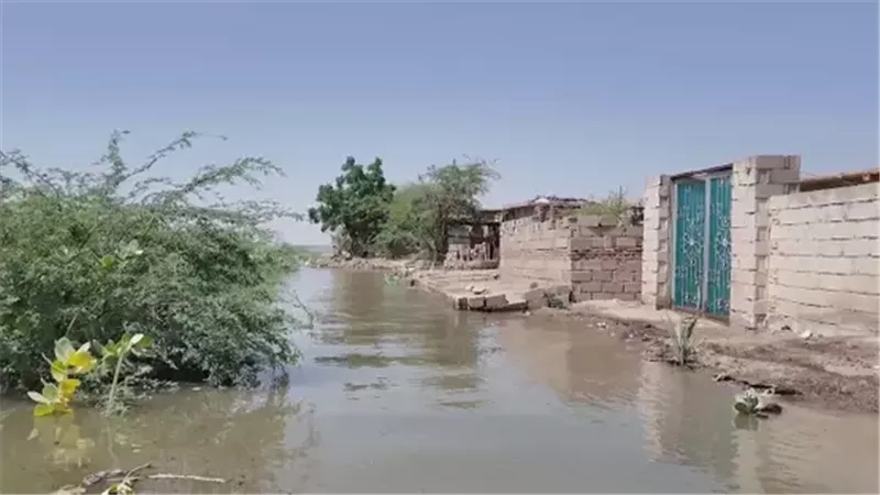 هير نيوز