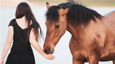 خير أم شر يقترب ؟.. تفسير رؤية الحصان البني في المنام