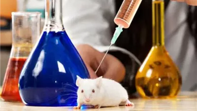دراسة تكشف عن 3 بدائل للتجارب الحيوانية