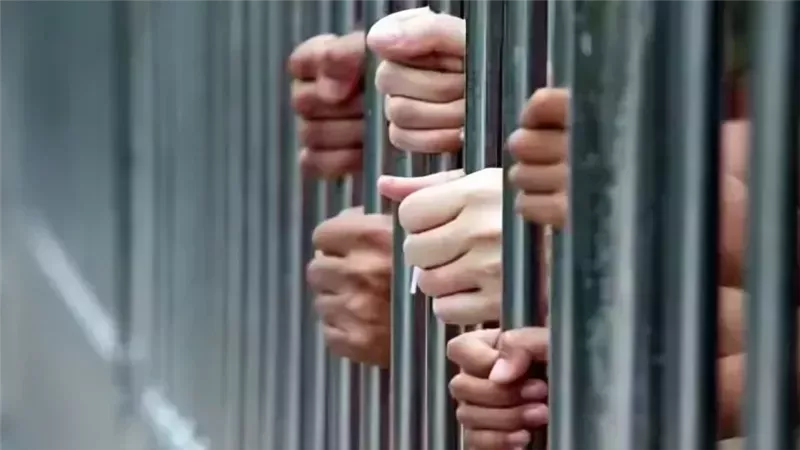 هير نيوز