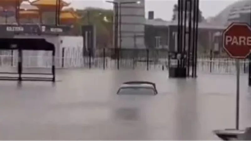 هير نيوز