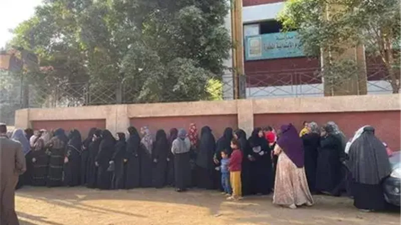 التواجد النسائي بالانتخابات 