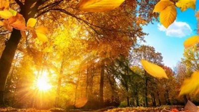 حالة الطقس ودرجات الحرارة اليوم الإثنين 17 نوفمبر 2025