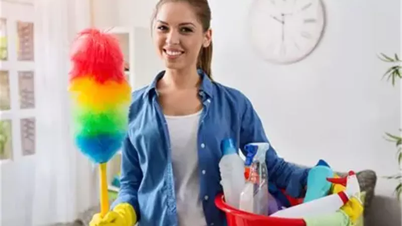 تنظيف المنزل 