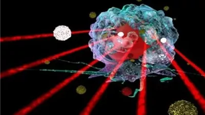 دراسة جديدة: الموجات فوق الصوتية تغيّر السلوك