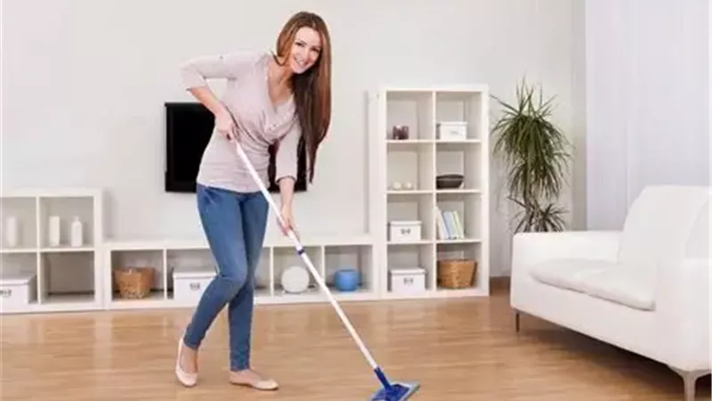 تنظيف المنزل 