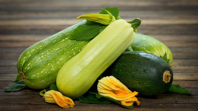 تفسير رؤية الكوسة في المنام