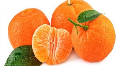 بشرى سارة.. تفسير رؤية اليوسفي في المنام للعزباء والمتزوجة