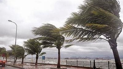 تفسير رؤية الرياح الشديدة فى المنام وعلاقتها بالأخبار السارة 