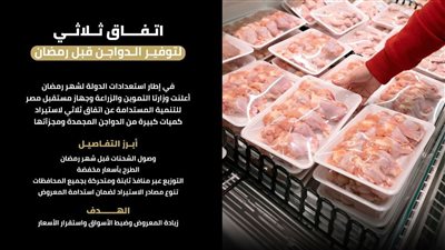 طرح دواجن مستوردة بأسعار مخفضة عبر المنافذ قبل شهر رمضان