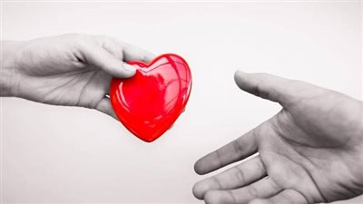 التبرع بالأعضاء… بين نداء مجدي يعقوب وحسم الفتوى وتعثر التطبيق وجدل بين المواطنين 