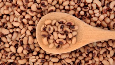 بشارة خير أم علامة شر؟  .. تفسير رؤية اللوبيا في المنام