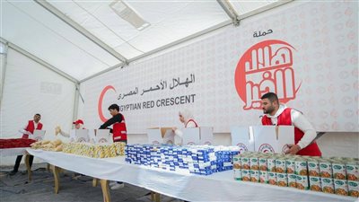 وزيرة التضامن الاجتماعي: 