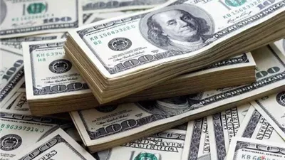 سعر الدولار في بنوك مصر اليوم الإثنين 16 فبراير 2026