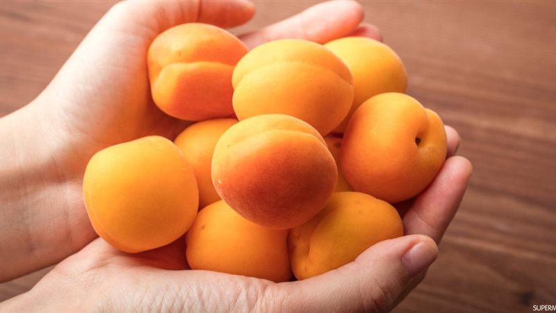 تفسير رؤية المشمش في المنام