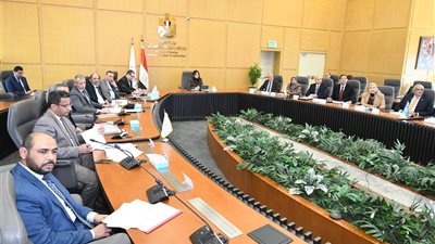  راندة المنشاوي: الجهاز القومي لتنظيم الإعلانات  يضبط منظومة الإعلانات على مستوى الجمهورية