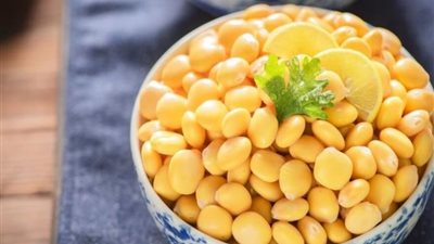 بشارة خير أم علامة شر؟.. تفسير رؤية الترمس في المنام لابن سيرين