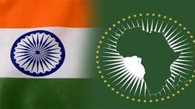  الهند وأفريقيا: تعزيز الشراكات