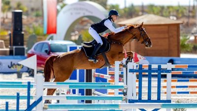 بمشاركة 150 فارسًا وفارسة.. وزير الرياضة يشيد ببطولة كأس مصر للفروسية