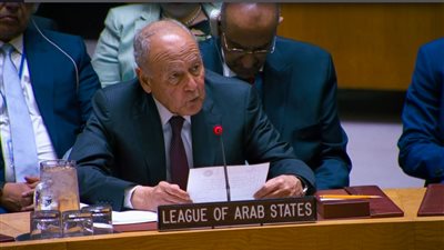 أبو الغيط أمام مجلس الأمن: تعزيز التعاون مع الجامعة العربية ضرورة استراتيجية لمواجهة تحديات المنطقة