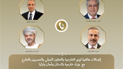 تحركات دبلوماسية مصرية مكثفة لاحتواء التوتر.. وزير الخارجية يبحث مع نظرائه تطورات المنطقة