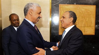 وزير الخارجية يستقبل رئيس بنك التنمية الأفريقي ويؤكد دعم أولويات التنمية في مصر وإفريقيا