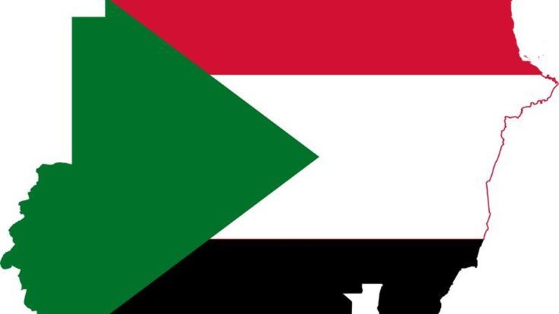 هير نيوز