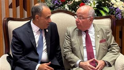 عبد العاطي يبحث مع نظيره البرازيلي تعزيز الشراكة الاقتصادية والتنسيق داخل البريكس