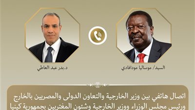 وزير الخارجية المصري ونظيره الكيني يبحثان تعزيز العلاقات والتعاون ودعم استقرار القارة الأفريقية