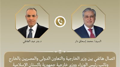 وزير الخارجية يبحث مع نظيره الباكستاني تعزيز العلاقات الثنائية وسبل خفض التصعيد الإقليمي