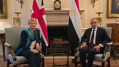مصر وبريطانيا تبحثان تعزيز التعاون المشترك وتكثيف التنسيق لخفض التصعيد الإقليمي
