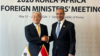وزير الخارجية يبحث مع نائب رئيس «كويكا» تعزيز التعاون التنموي بين مصر وكوريا الجنوبية