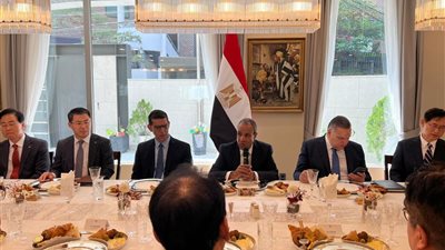 وزير الخارجية يبحث في سول تعزيز الاستثمارات الكورية وفرص التعاون الاقتصادي في مصر  