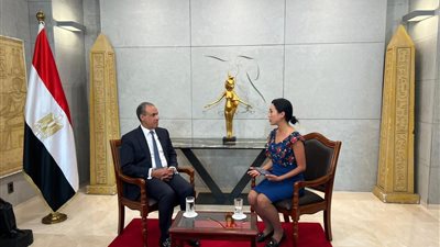 وزير الخارجية يدعو الشركات الكورية للاستثمار في مصر خلال لقاء إعلامي في سول