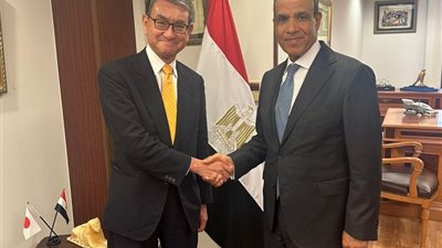 وزير الخارجية يبحث مع رئيس لجنة العلاقات الخارجية بالحزب الحاكم الياباني تعزيز التعاون البرلمانى