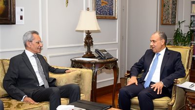 وزيرا الخارجية وشئون المجالس النيابية يؤكدان أهمية التنسيق المشترك لدعم الدبلوماسية البرلمانية